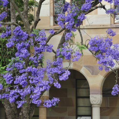 UQ's research will benefit Queensland and have global impact